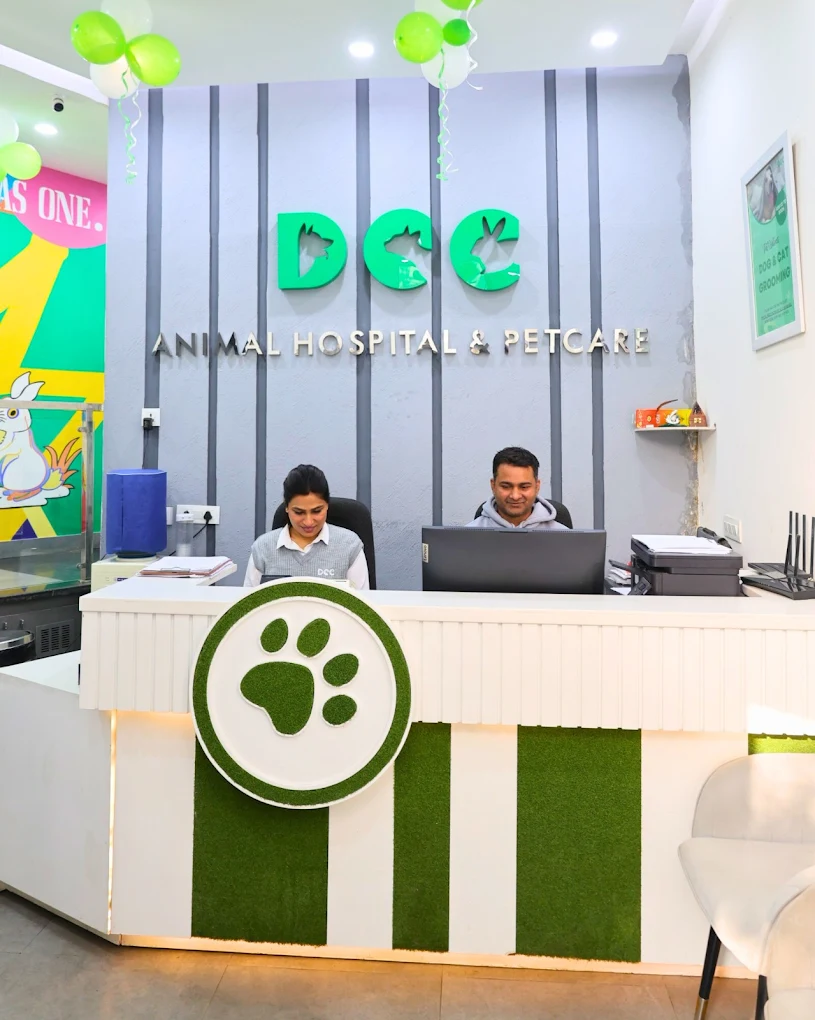 DCC Animal Hospital & Petcare, Masjid Moth Village Veterinary Clinic in Masjid Moth Village, Delhi — Facility Photo 3