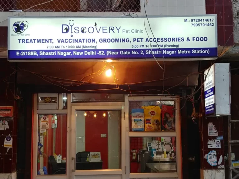 Discovery Pet Clinic - Pet Clinic in Shastri Nagar, Delhi