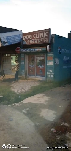 Dog Clinic, Begum Pur - Pet Clinic in Begum Pur, Delhi