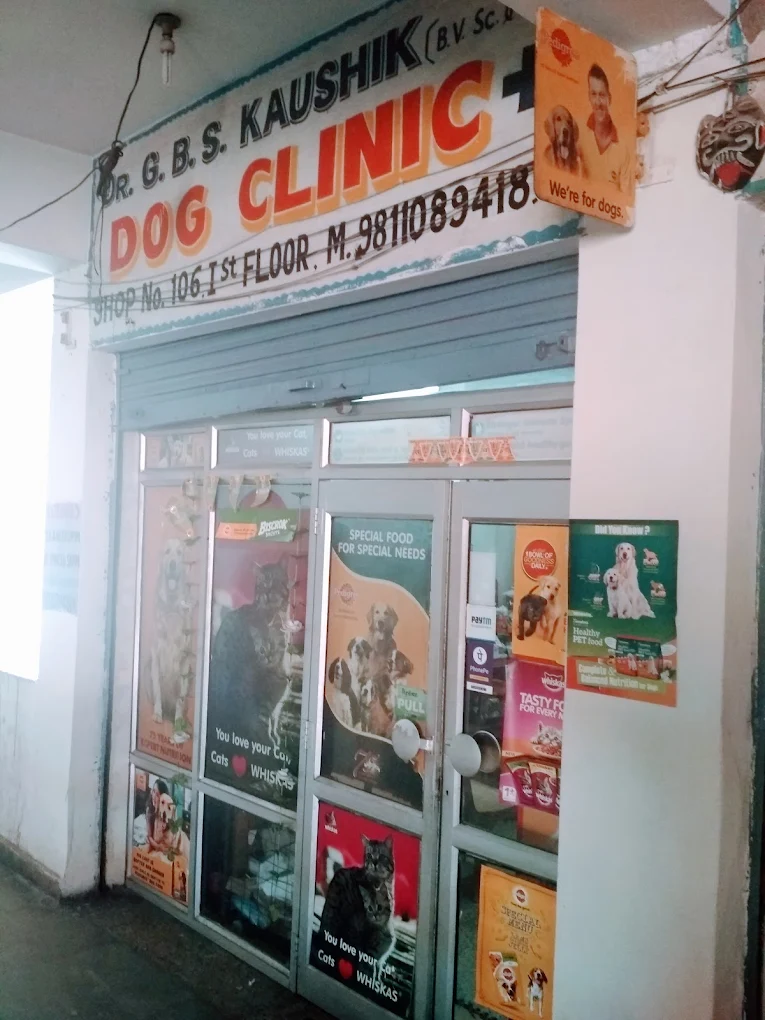 Dr. Kaushik Dog Clinic, Vikaspuri - Pet Clinic in Vikaspuri, Delhi