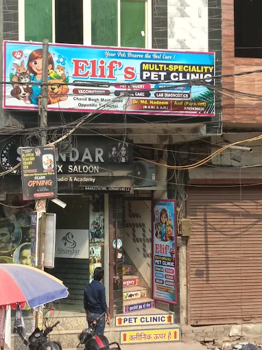 Elif's Multi-Speciality Pet Clinic - Pet Clinic in New Mustafabad, Delhi