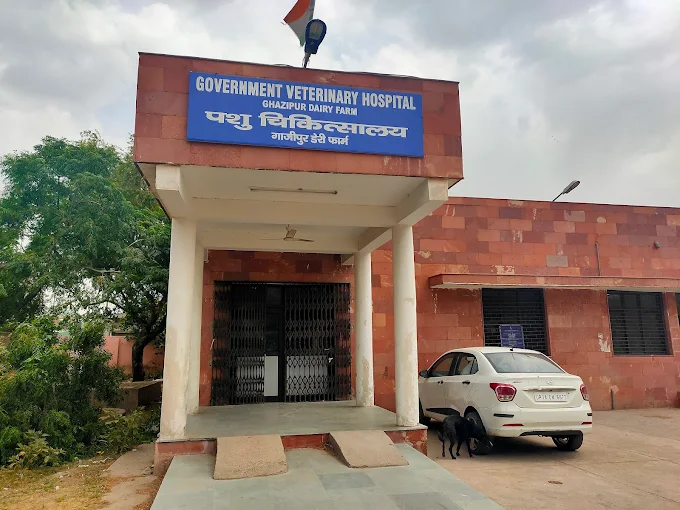 Government Veterinary Hospital, Ghazipur - Pet Clinic in Ghazipur, Delhi