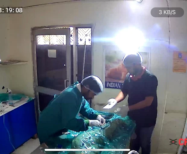 Indian Bagheera Veterinary Hospital Veterinary Clinic in Shahdara, Delhi — Facility Photo 2