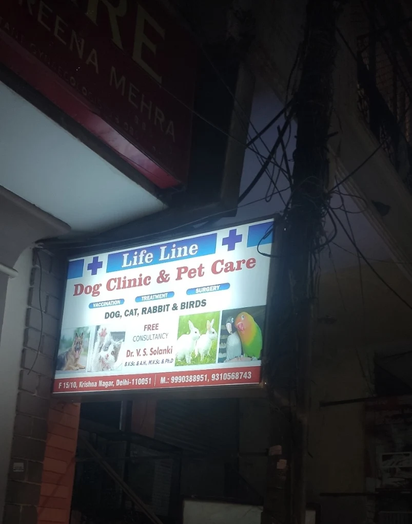 Life Line Dog Clinic and Pet Care, Krishna Nagar Veterinary Clinic in Krishna Nagar, Delhi — Entrance/Facility Photo