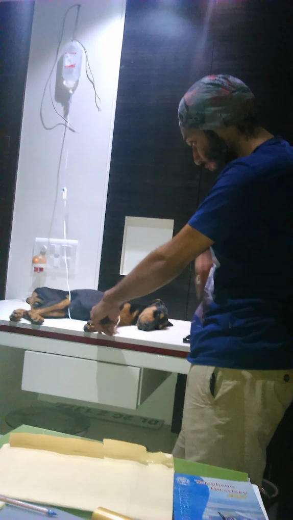 Life Line Dog Clinic and Pet Care, Krishna Nagar Veterinary Clinic in Krishna Nagar, Delhi — Facility Photo 2