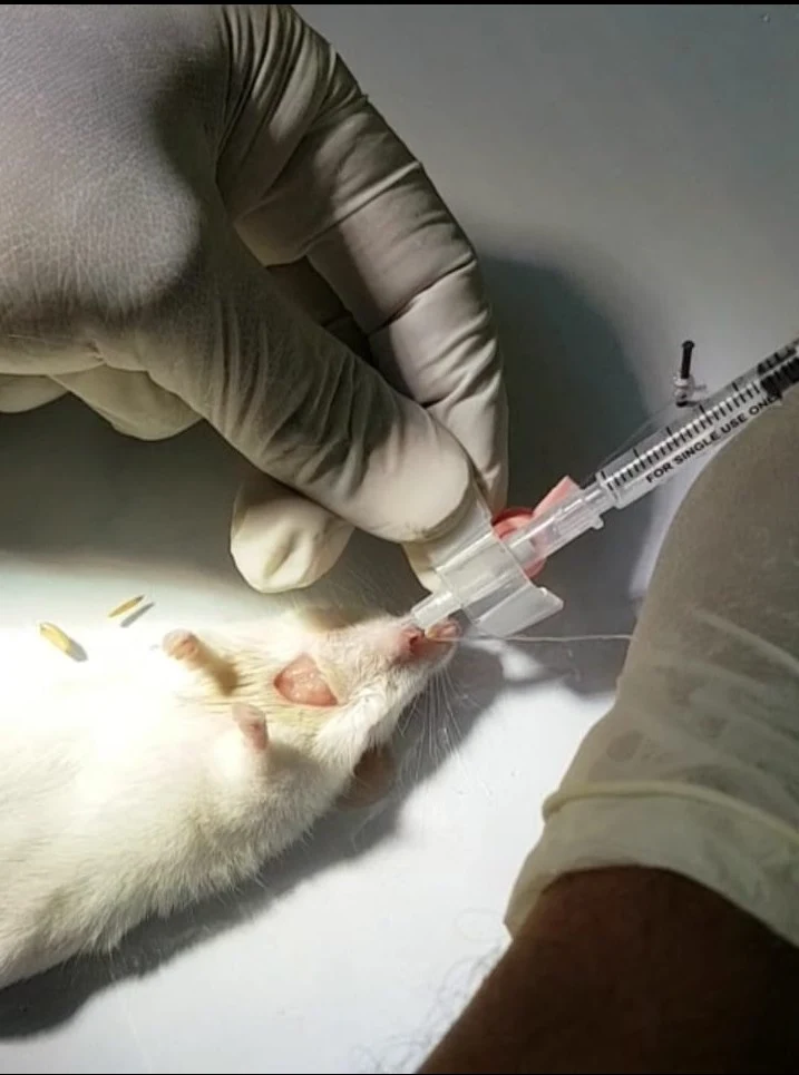 Mass Pet Clinic Veterinary Clinic in Padi, Chennai — Facility Photo 7