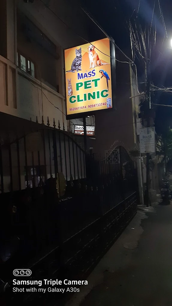 Mass Pet Clinic - Pet Clinic in Padi, Chennai