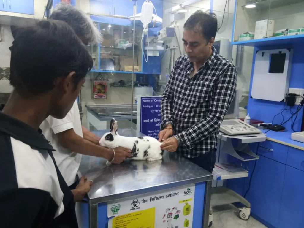 New Delhi Veternary Clinic Veterinary Clinic in Greater Kailash, Delhi — Facility Photo 4