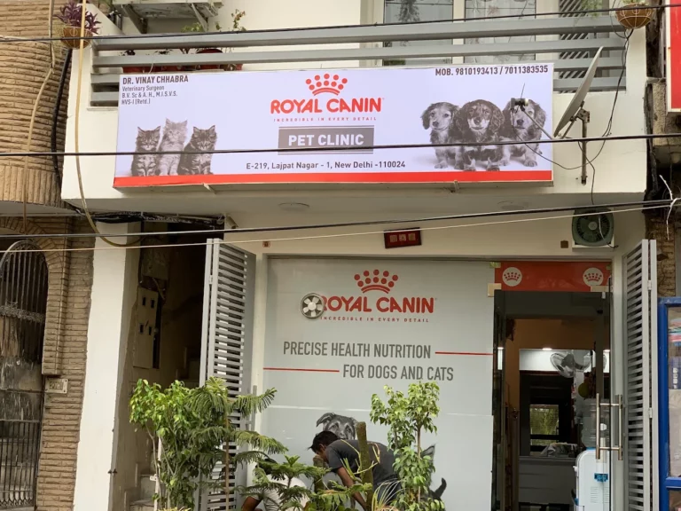Pet Clinic, Lajpat Nagar - Pet Clinic in Lajpat Nagar, Delhi