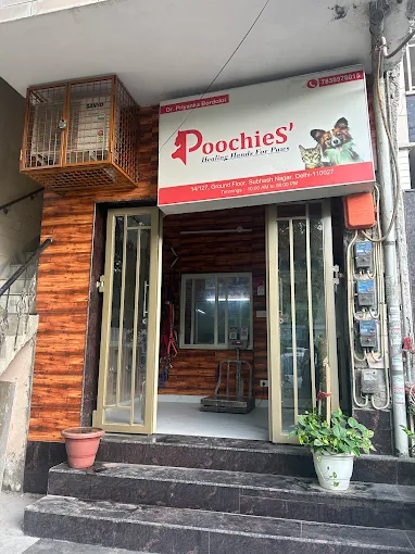 Poochies' Pet Clinic, Subhash Nagar - Pet Clinic in Subhash Nagar, Delhi