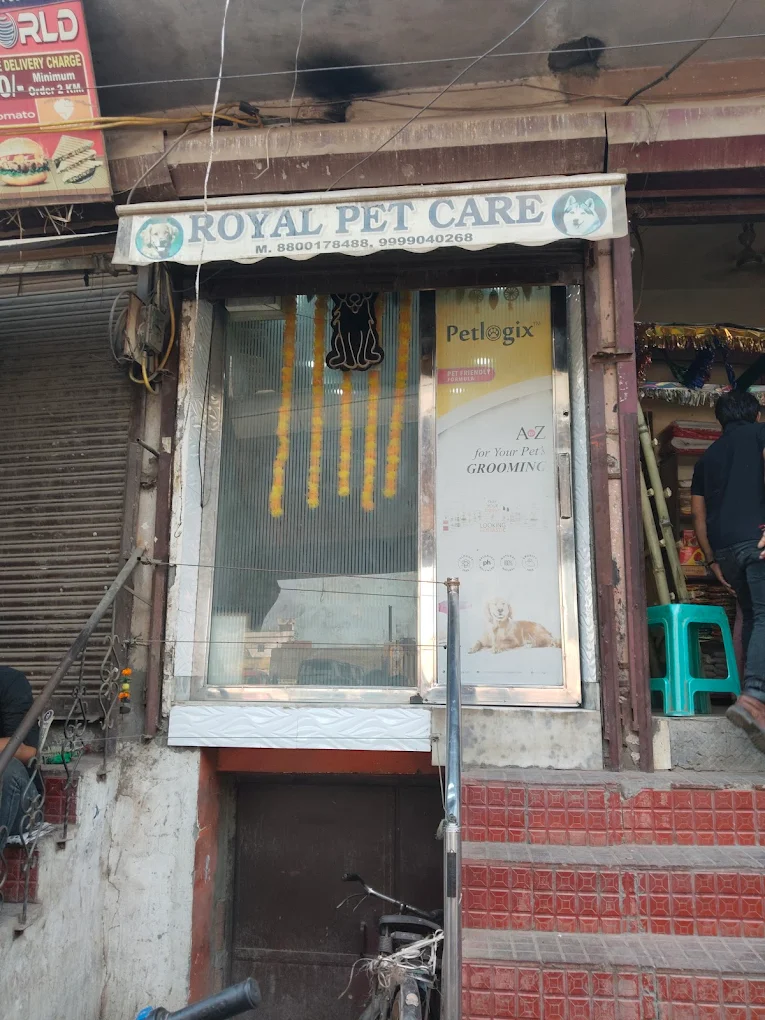 Royal Pet Care and Clinic, Shahdara - Pet Clinic in Shahdara, Delhi