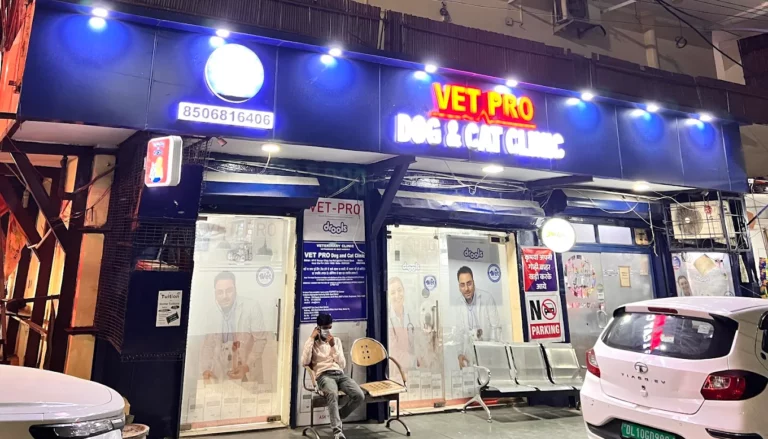 VET PRO Kumar's Dog & Cat Clinic - Pet Clinic in Ashok Nagar, Delhi