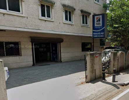 Veekays Pet Care Clinic, Kilpauk - Pet Clinic in Kilpauk, Chennai