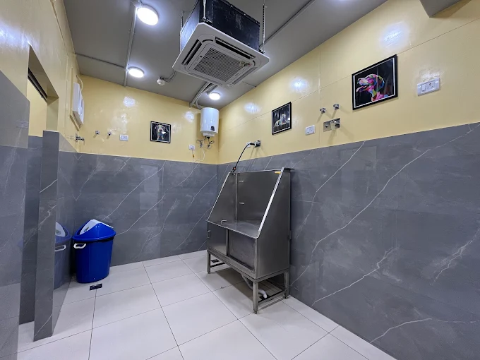 Vetic Pet Clinic, Malviya Nagar Veterinary Clinic in Malviya Nagar, Delhi — Facility Photo 2