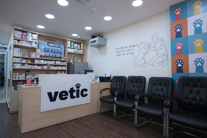 Vetic Pet Clinic, Malviya Nagar Veterinary Clinic in Malviya Nagar, Delhi — Facility Photo 6