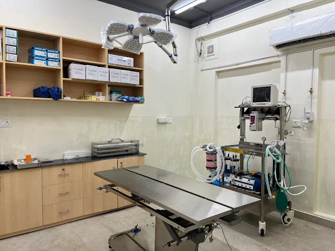 Vetic Pet Clinic, Greater Kailash Veterinary Clinic in Greater Kailash, Delhi — Facility Photo 5