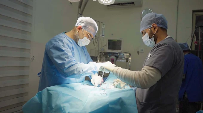 Vetic Pet Clinic, Greater Kailash Veterinary Clinic in Greater Kailash, Delhi — Facility Photo 2