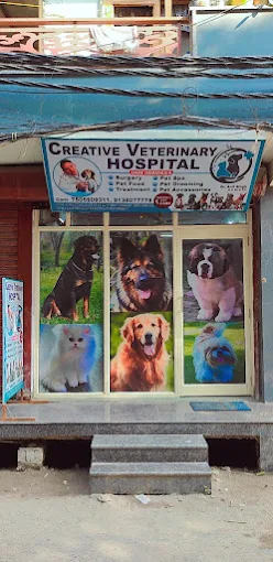 Creative Veterinary Hospital, Shahdara - Pet Clinic in Shahdara, Delhi