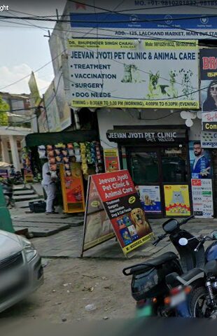 Jeevan Jyoti Animal Clinic, Rohini - Pet Clinic in Rohini, Delhi