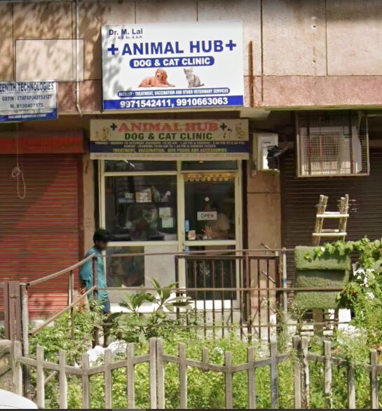 Animal Hub, Shalimar Bagh - Pet Clinic in Shalimar Bagh, Delhi