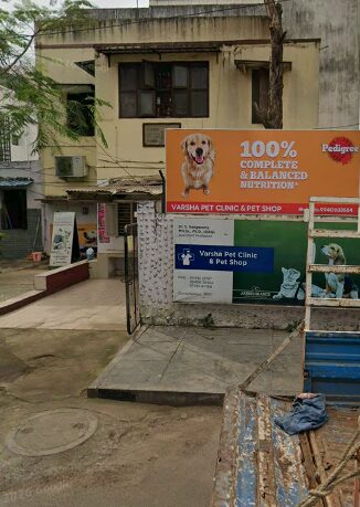 Varsha Pet Clinic & Pet Shop - Pet Clinic in Shenoy Nagar, Chennai