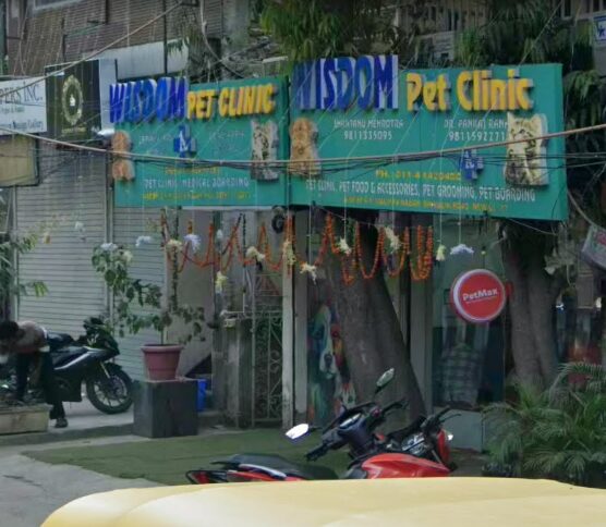 Wisdom Pet Clinic, Malviya Nagar - Pet Clinic in Malviya Nagar, Delhi