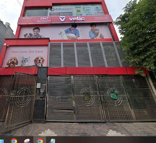 Vetic Pet Clinic, Dwarka - Pet Clinic in Dwarka, Delhi