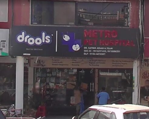 Metro Pet Hospital New Dr Satbir Josan - Pet Clinic in Sector 23, Gurugram