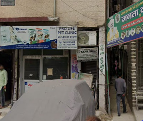 Prolife Pet Clinic, Mangolpuri - Pet Clinic in Mangolpuri, Delhi