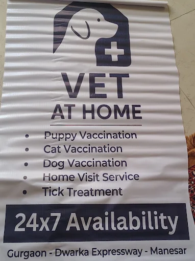 Vet At Home By Dr. Rahul Yadav - Pet Clinic in Maruti Kunj, Gurugram
