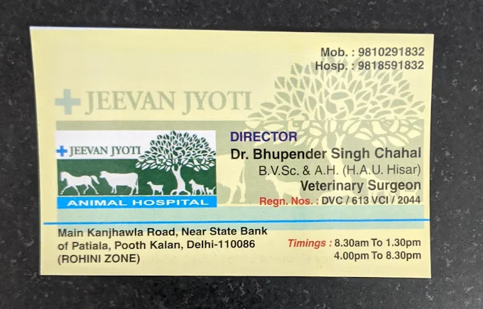 Jeevan Jyoti Animal Clinic, Rohini Veterinary Clinic in Rohini, Delhi — Facility Photo 2