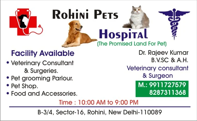 Rohini Pets Hospital Veterinary Clinic in Rohini, Delhi — Facility Photo 3