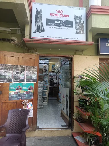 Ballo Multispeciality Pet Clinic - Pet Clinic in Mylapore, Chennai