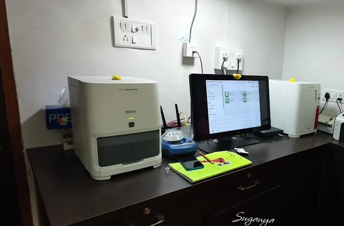 KK Pet Clinic Veterinary Clinic in Ashok Nagar, Chennai — Facility Photo 3