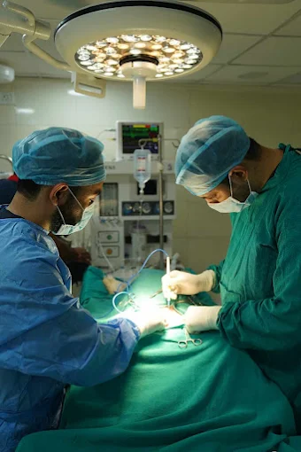 Zigly Pet Care, Sector 102 Veterinary Clinic in Sector 102, Gurugram — Facility Photo 2