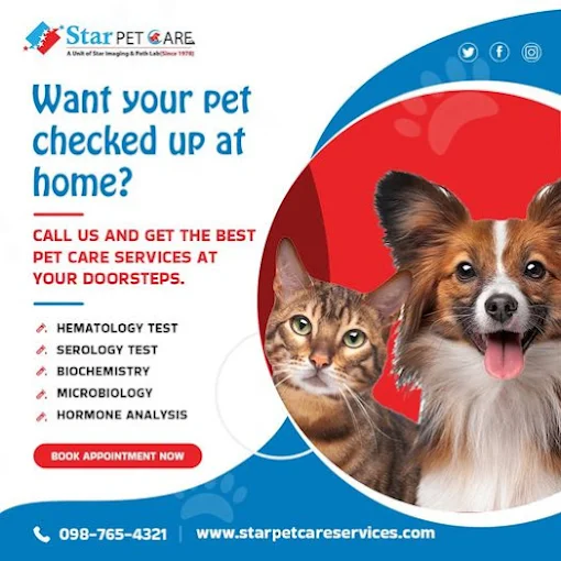 Star Pet Care Services Pvt Ltd, Tilak Nagar Veterinary Clinic in Tilak Nagar, Delhi — Facility Photo 3