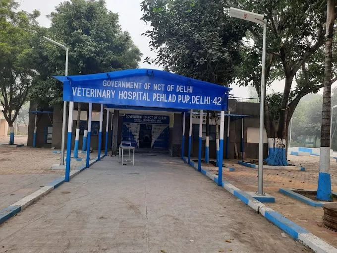 Government Veterinary Hospital, Rohini - Pet Clinic in Rohini, Delhi