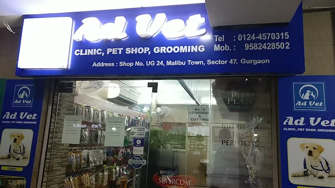 CP Vet, Sector 47 - Pet Clinic in Sector 47, Gurugram