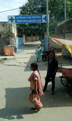 Nangloi Veterinary Hospital - Pet Clinic in Nangloi, Delhi
