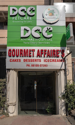 DCC Animal Hospital, Greater Kailash - Pet Clinic in Greater Kailash, Delhi