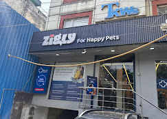 Zigly Pet Care, New Rajinder Nagar - Pet Clinic in New Rajinder Nagar, Delhi