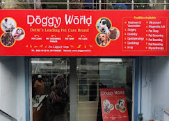 Doggy World Veterinary Hospital, Paschim Vihar - Pet Clinic in Paschim Vihar, Delhi