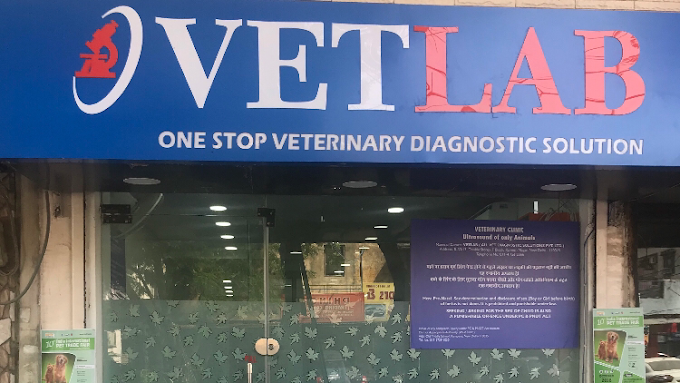 Vetlab, Ramesh Nagar - Pet Clinic in Ramesh Nagar, Delhi