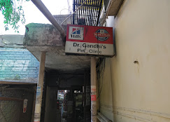 Dr. Gandhi's Pet Hospital, East of Kailash - Pet Clinic in East of Kailash, Delhi