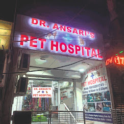 Dr Ansari Pet Hospital - Pet Clinic in Sainik Farm, Delhi