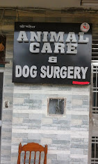 Shri Mahesh Animal Care And Dog Surgery, Rohini - Pet Clinic in Rohini, Delhi