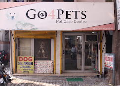 Go4Pets - Pet Clinic in Rohini, Delhi