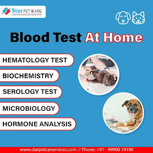 Star Pet Care Services Pvt Ltd, Tilak Nagar Veterinary Clinic in Tilak Nagar, Delhi — Facility Photo 4