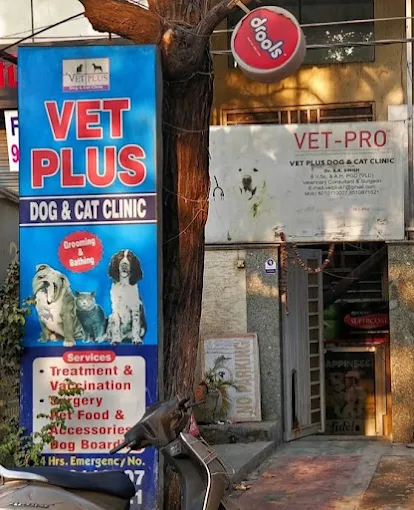 Vet Plus Dog & Cat Clinic - Pet Clinic in Kalyan Vihar, Delhi