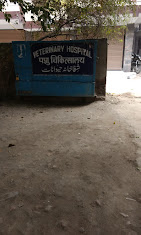 Veterinary Hospital, Shakarpur - Pet Clinic in Shakarpur, Delhi